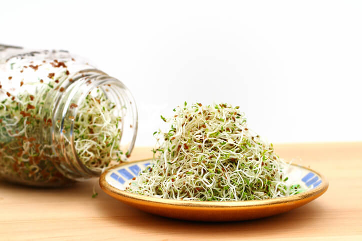 Alfalfa Sprouts Aren T For Everyone But They May Be Right For You