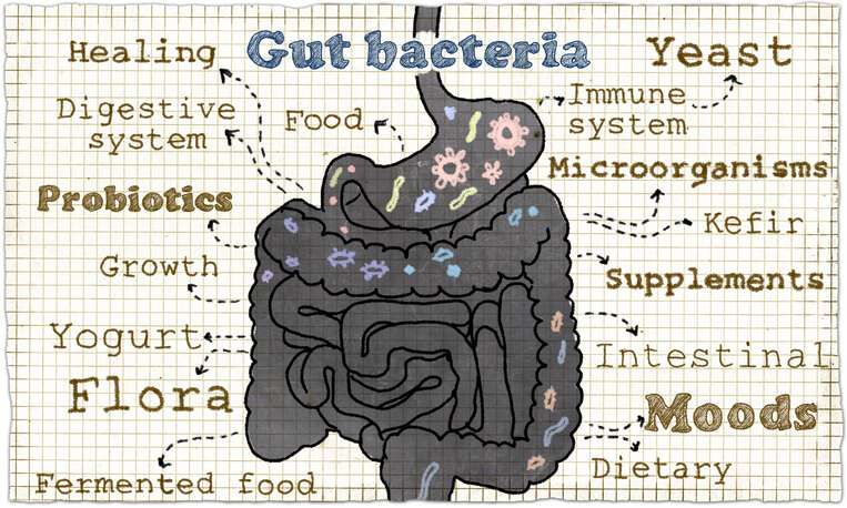 Nutrition is your secret weapon for good gut health