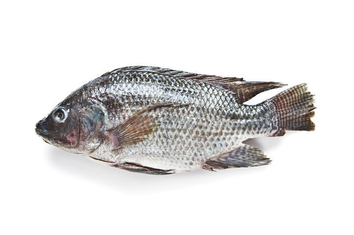 Why You Will Never See Tilapia On My Plate